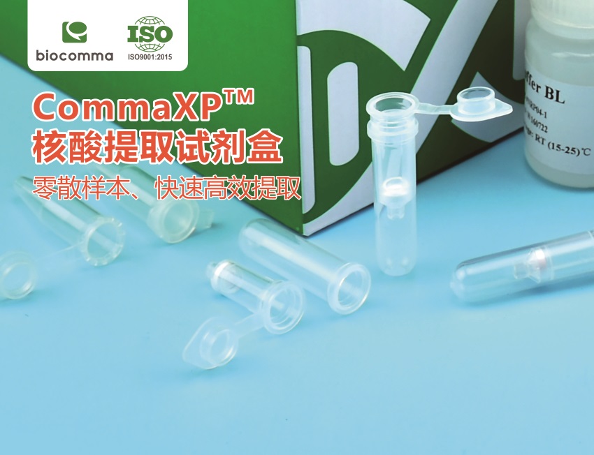 临床样本核酸提取